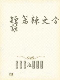 短篇辣文合集小说