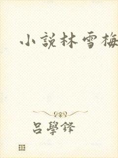 小说林雪梅