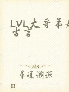 LVL大哥弟媳古言