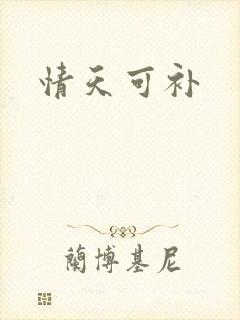 情天可补