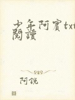 少年阿宾txt阅读