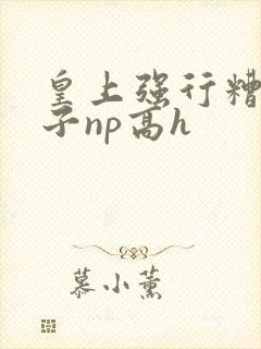 皇上强行糟蹋太子np高h