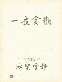 一夜贪欢