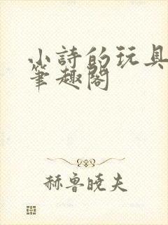 小诗的玩具日记笔趣阁