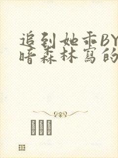 追到她乖BY黑暗森林写的小说