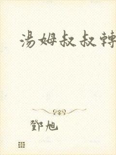 汤姆叔叔转接口