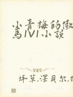 小青梅的傲娇竹马1V1小说