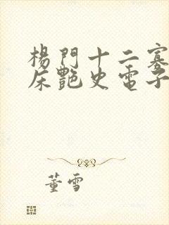 杨门十二寡妇肉床艳史电子书