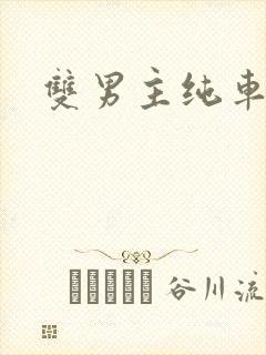 双男主纯车骨科