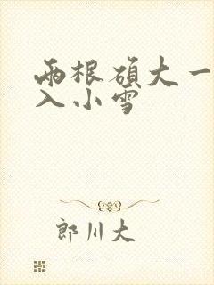 两根硕大一起挤入小雪