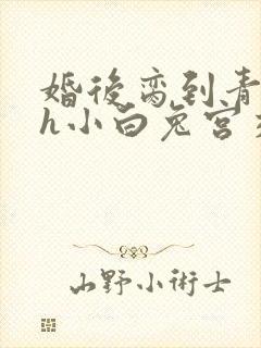 婚后脔到青梅哭h小白兔宫交h