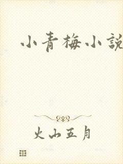 小青梅小说