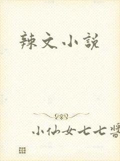 辣文小说