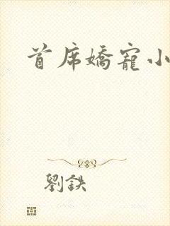 首席娇宠小情人