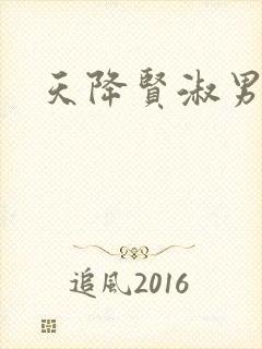 天降贤淑男小说