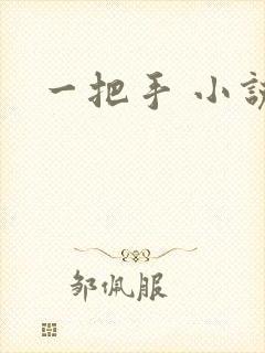 一把手 小说