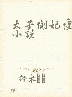 太子侧妃傻乎乎小说