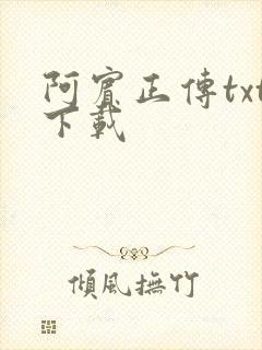 阿宾正传txt下载