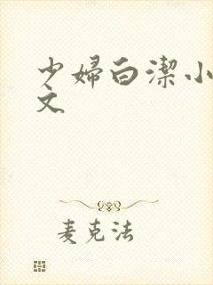 少妇白洁小说全文