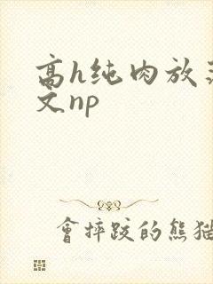 高h纯肉放荡h文np