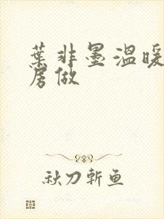 叶非墨温暖在厨房做