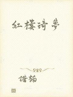 红楼琦梦