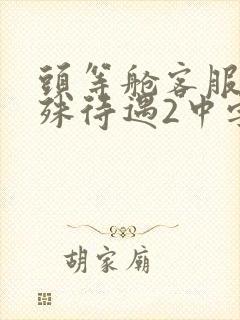 头等舱客服的特殊待遇2中字