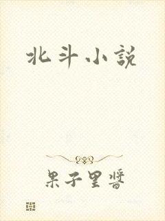 北斗小说