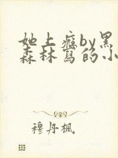 她上瘾by黑暗森林写的小说免费阅读无弹窗