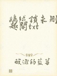 鹅绒锁未删除笔趣阁txt