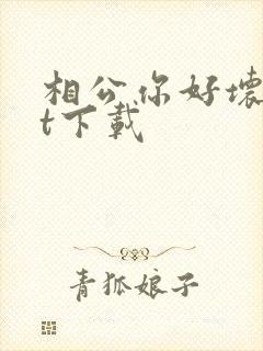 相公你好坏txt下载