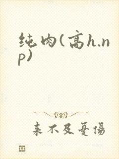 纯肉(高h.np)
