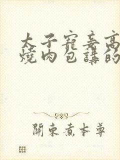 太子宠妾高肉红烧肉包讲的什么