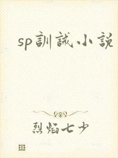 sp训诫小说