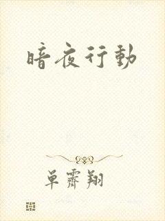 暗夜行动