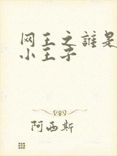 网王之谁是我的小王子