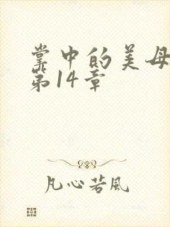 掌中的美母版主第14章
