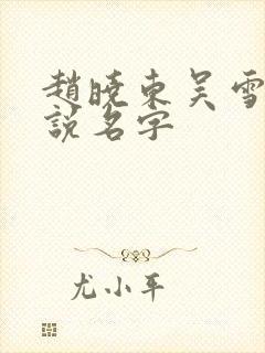 赵晓东吴雪晴小说名字