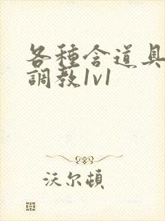 各种含道具高h调教1v1