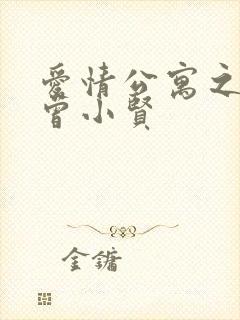 爱情公寓之极品曾小贤