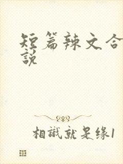 短篇辣文合集小说