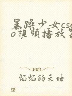 暴躁少女csgo视频播放器推荐