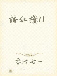 诱红楼11