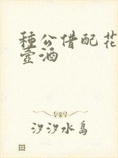 种公借配花间一壶酒