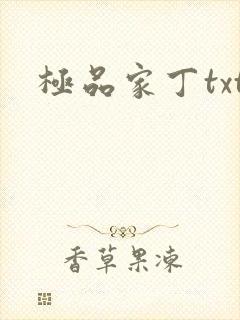 极品家丁txt