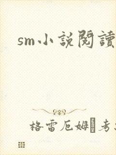 sm小说阅读