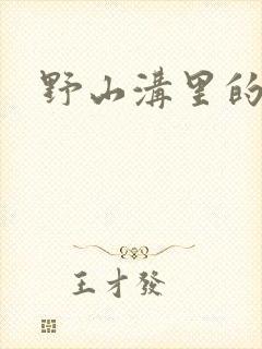 野山沟里的村庄