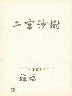 二宫沙树