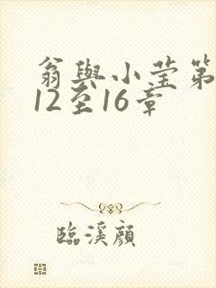 翁与小莹第十部12至16章