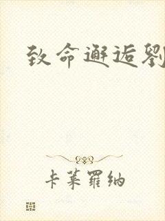 致命邂逅刘小寐